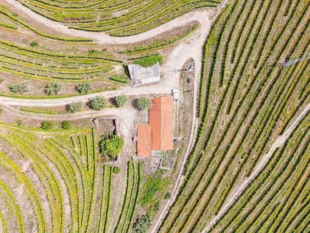 Quinta à venda em Nogueira e Ermida, Vila Real RE/MAX Portugal