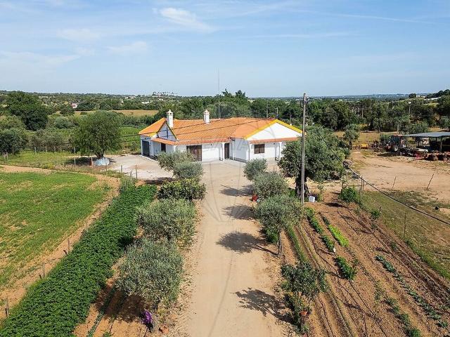 Quinta à venda em Nossa Senhora da Vila, Nossa Senhora do Bispo e Silveiras, Montemor o Novo RE/MAX Portugal