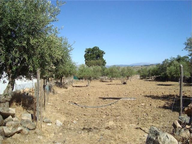Quinta à venda em Oledo, Idanha a Nova RE/MAX Portugal