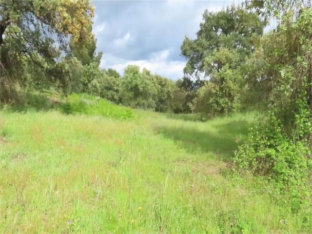 Quinta à venda em Orca, Fundão RE/MAX Portugal