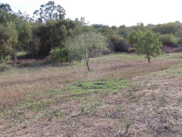 Quinta à venda em Penamacor