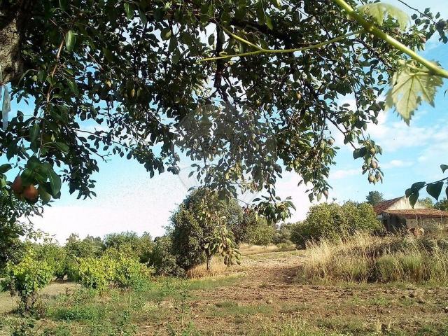 Quinta à venda em Penamacor, Penamacor RE/MAX Portugal