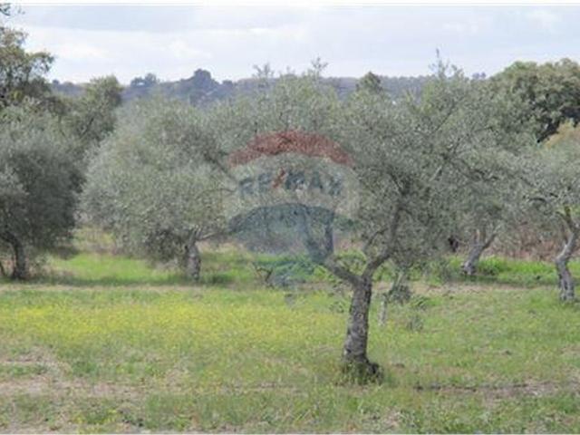 Quinta à venda em Penamacor, Penamacor RE/MAX Portugal