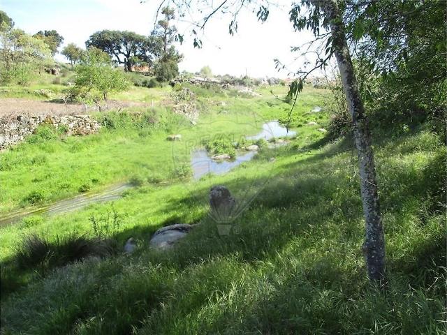 Quinta à venda em Penamacor, Penamacor RE/MAX Portugal