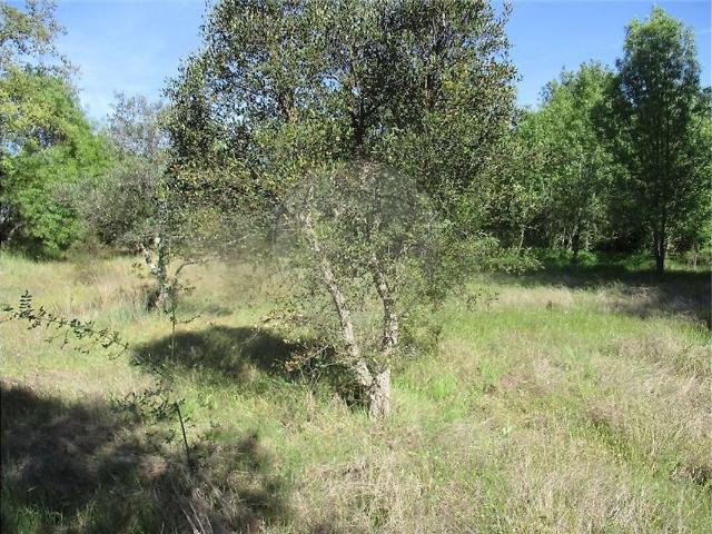 Quinta à venda em Penamacor, Penamacor RE/MAX Portugal