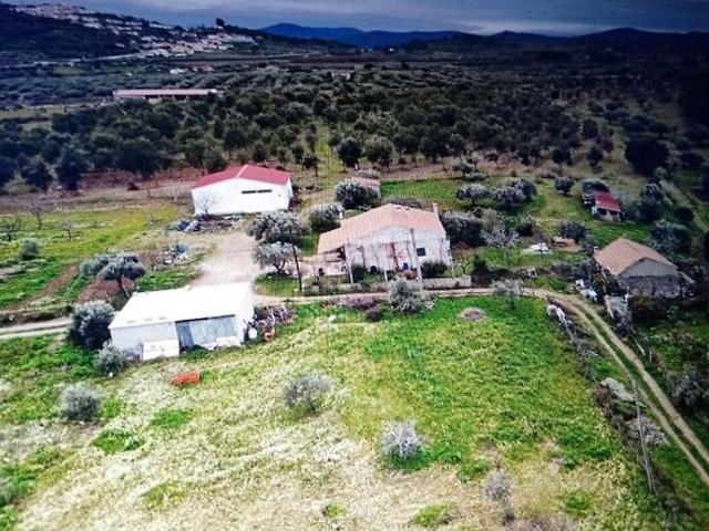 Quinta à venda em Penamacor, Penamacor RE/MAX Portugal