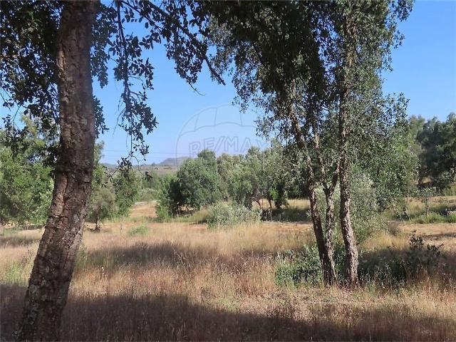 Quinta à venda em Penamacor, Penamacor RE/MAX Portugal