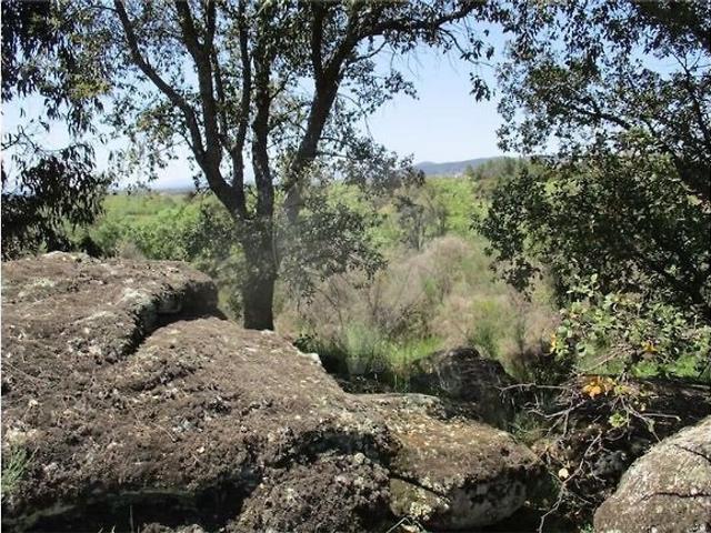 Quinta à venda em Penamacor, Penamacor RE/MAX Portugal