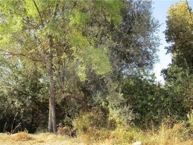 Quinta à venda em Penamacor, Penamacor RE/MAX Portugal