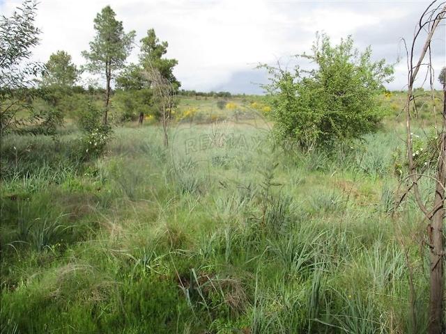 Quinta à venda em Penamacor, Penamacor RE/MAX Portugal