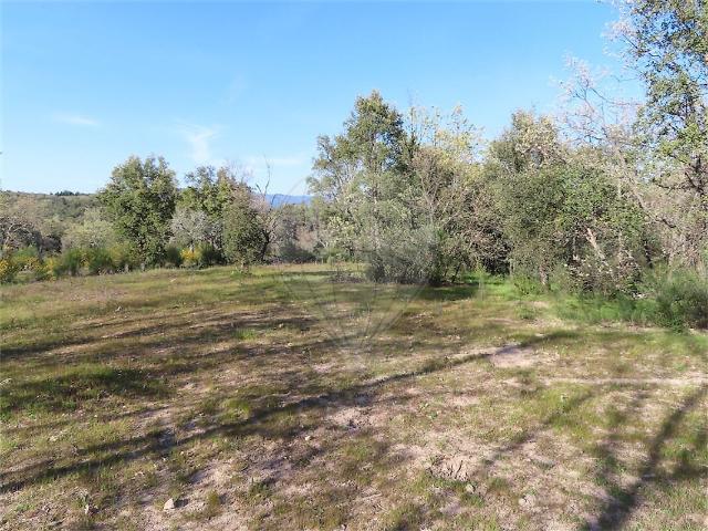 Quinta à venda em Penamacor, Penamacor RE/MAX Portugal
