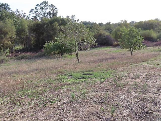 Quinta à venda em Penamacor, Penamacor RE/MAX Portugal