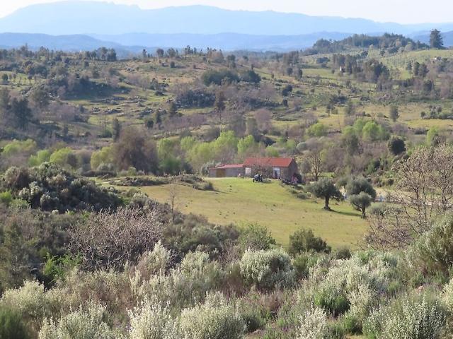 Quinta à venda em Penamacor, Penamacor RE/MAX Portugal
