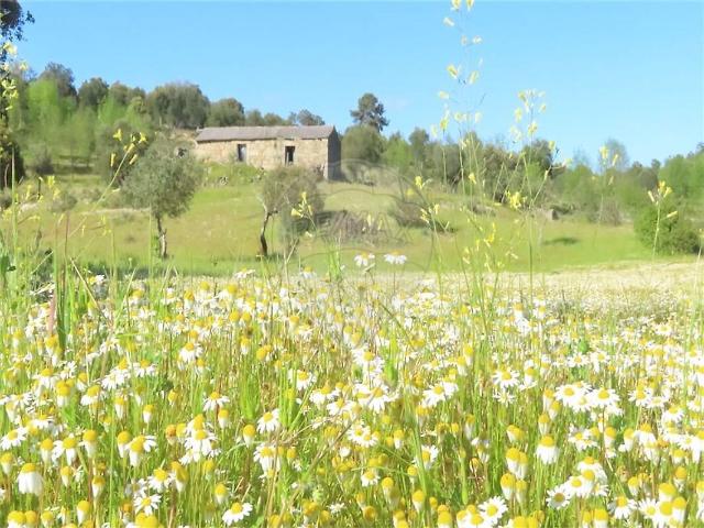 Quinta à venda em Penamacor, Penamacor RE/MAX Portugal