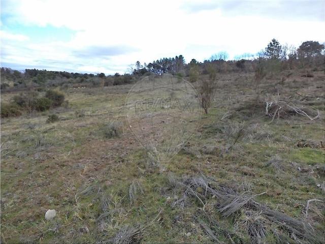 Quinta à venda em Penamacor, Penamacor RE/MAX Portugal