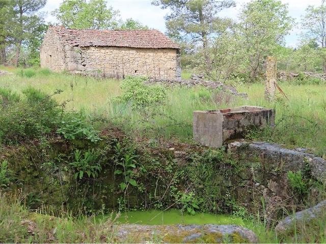 Quinta à venda em Penamacor, Penamacor RE/MAX Portugal