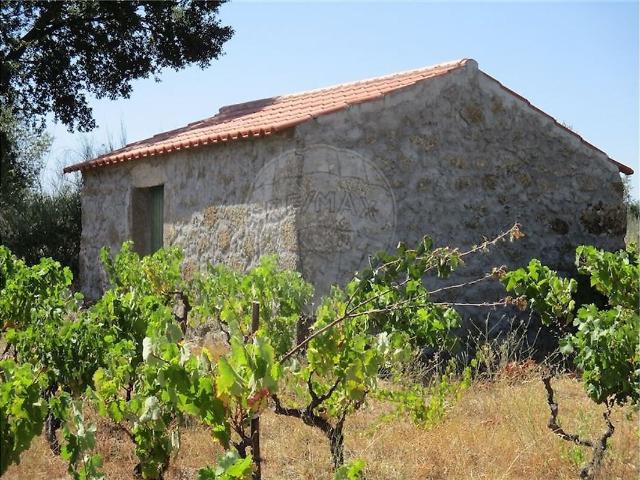 Quinta à venda em Penamacor, Penamacor RE/MAX Portugal