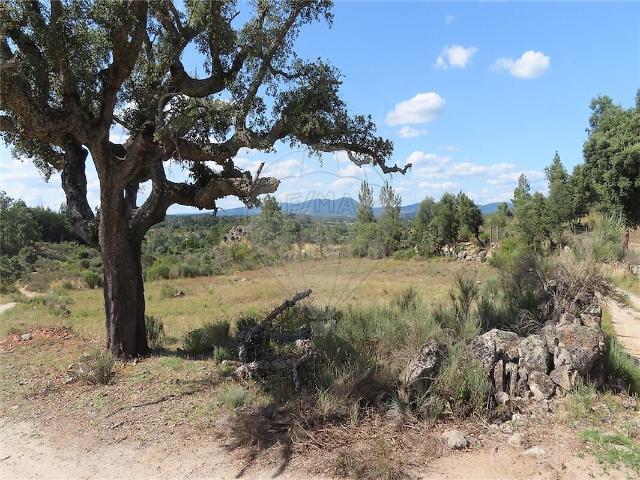 Quinta à venda em Penamacor, Penamacor RE/MAX Portugal