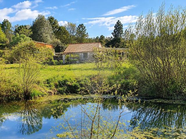 Quinta à venda em Pedrógão de São Pedro e Bemposta, Penamacor RE/MAX Portugal