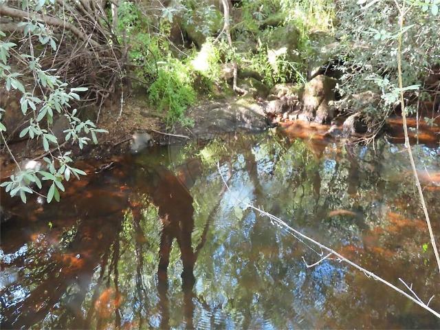 Quinta à venda em Pedrógão de São Pedro e Bemposta, Penamacor RE/MAX Portugal
