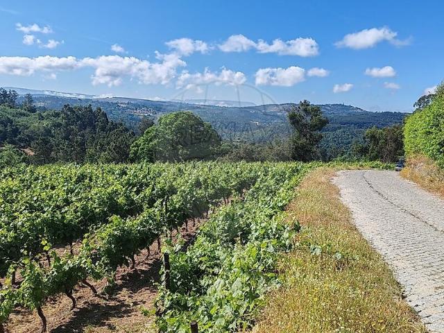 Quinta à venda em Pindo, Penalva do Castelo RE/MAX Portugal