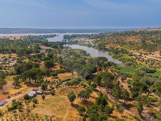 Quinta à venda em Ponte de Sor