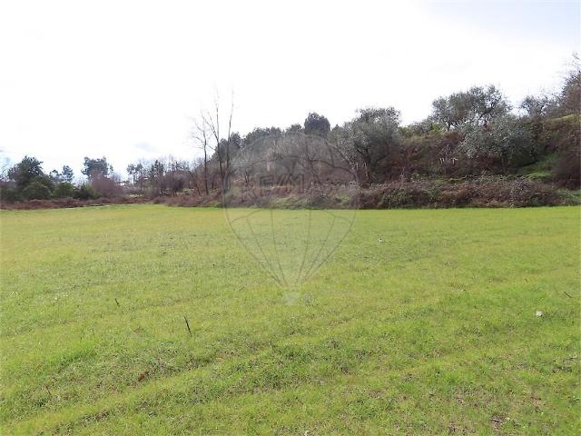 Quinta à venda em Póvoa de Atalaia e Atalaia do Campo, Fundão RE/MAX Portugal