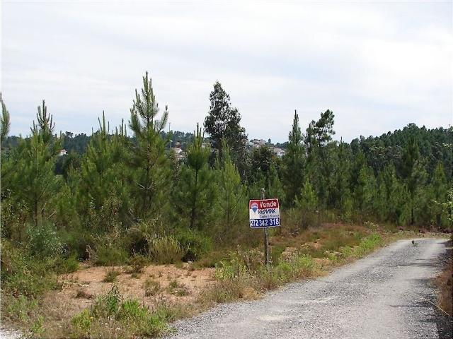 Quinta à venda em Proença a Nova e Peral, Proença a Nova RE/MAX Portugal