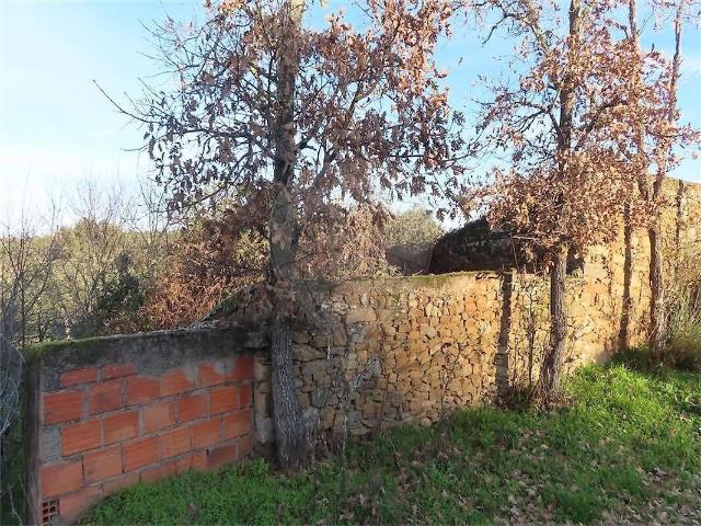 Quinta à venda em Proença a Velha, Idanha a Nova RE/MAX Portugal