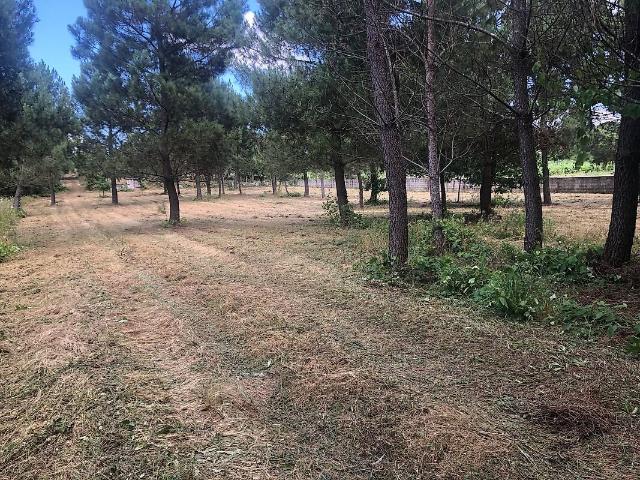 Quinta à venda em Repeses e São Salvador, Viseu RE/MAX Portugal