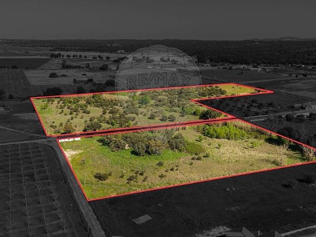Quinta à venda em São Miguel de Machede, Évora RE/MAX Portugal