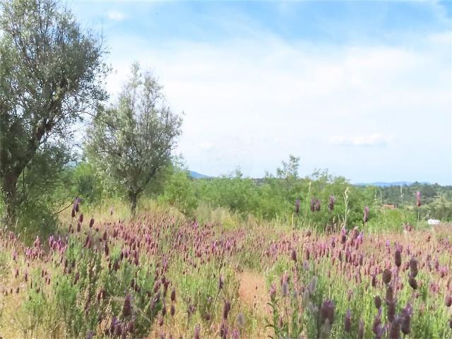 Quinta à venda em São Miguel de Acha, Idanha a Nova RE/MAX Portugal