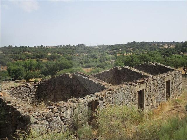 Quinta à venda em São Miguel de Acha, Idanha a Nova RE/MAX Portugal