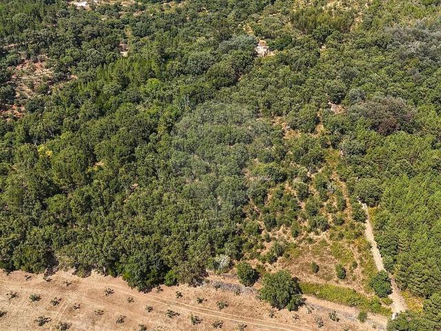 Quinta à venda em São Salvador da Aramenha, Marvão RE/MAX Portugal
