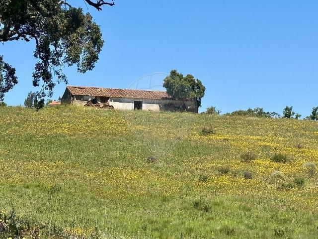 Quinta à venda em São Teotónio, Odemira RE/MAX Portugal