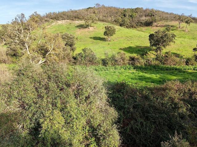 Quinta à venda em São Teotónio, Odemira RE/MAX Portugal