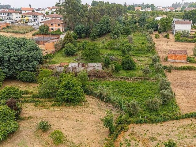 Quinta à venda em Santa Comba Dão e Couto do Mosteiro, Santa Comba Dão RE/MAX Portugal