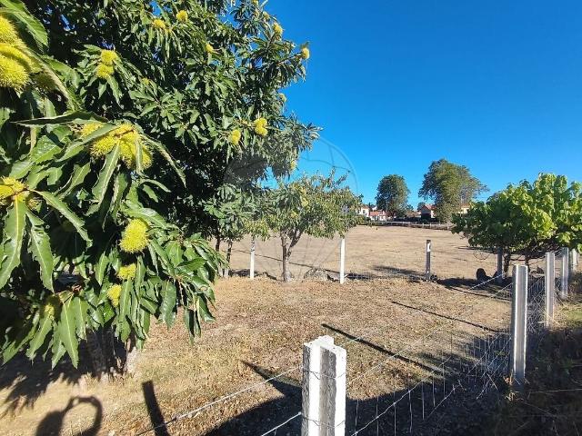 Quinta à venda em Santana da Azinha, Guarda RE/MAX Portugal
