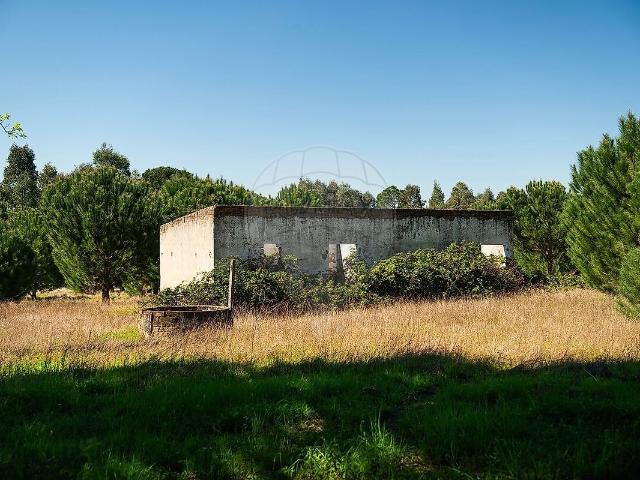 Quinta à venda em Santana do Mato, Coruche RE/MAX Portugal