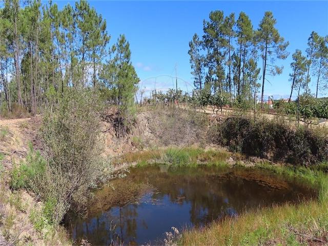 Quinta à venda em Santo André das Tojeiras, Castelo Branco RE/MAX Portugal