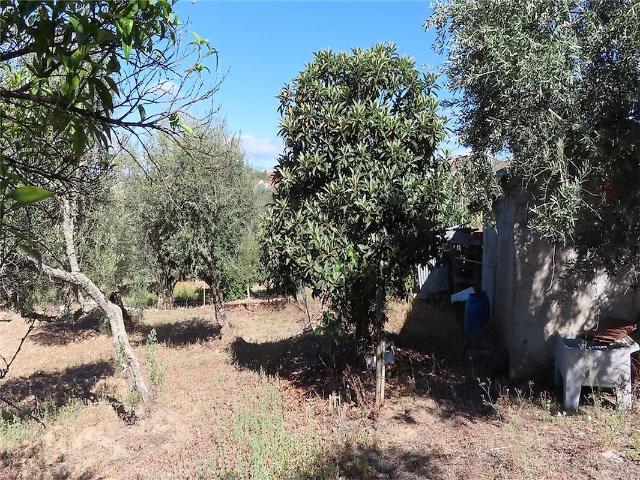 Quinta à venda em Santo André das Tojeiras, Castelo Branco RE/MAX Portugal