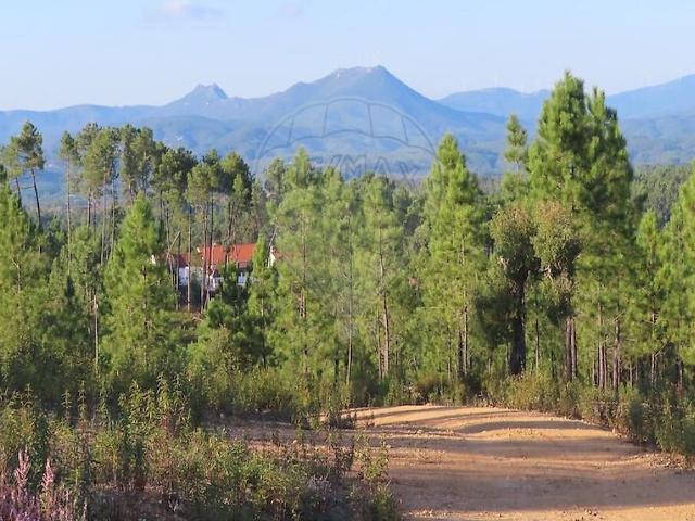 Quinta à venda em Santo André das Tojeiras, Castelo Branco RE/MAX Portugal