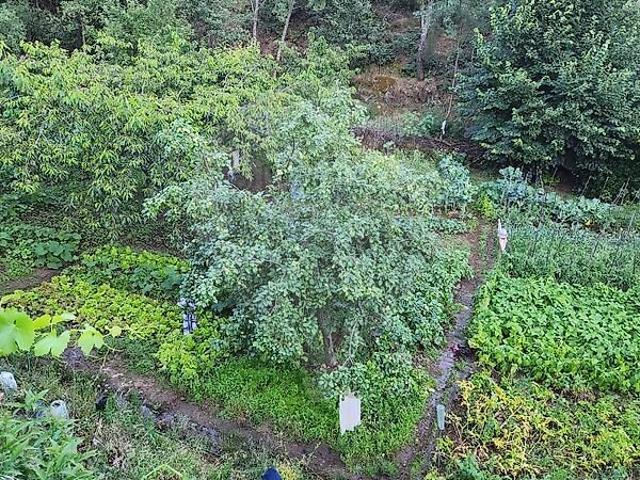 Quinta à venda em Santo Estêvão e Moita, Sabugal RE/MAX Portugal
