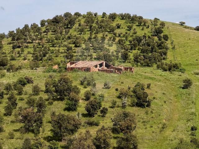 Quinta à venda em Sabóia, Odemira RE/MAX Portugal