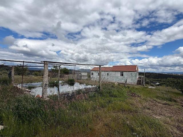 Quinta à venda em Sarzedo, Moimenta da Beira RE/MAX Portugal
