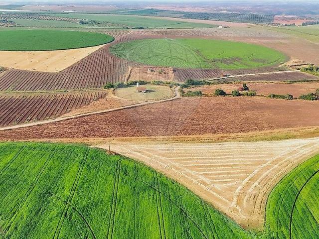 Quinta à venda em Serpa Salvador e Santa Maria, Serpa RE/MAX Portugal