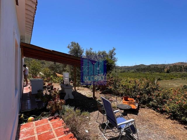 Quinta à Venda em Silves Oportunidade Única!
