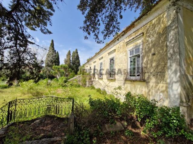 Quinta antiga, 13 ha, Investimento, Setúbal