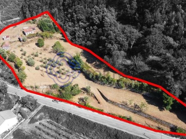 Quinta ao Rio Douro