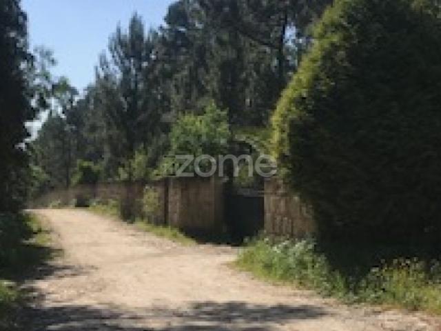 Quinta Agricola